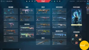 اکانت ولورانت کد 1001