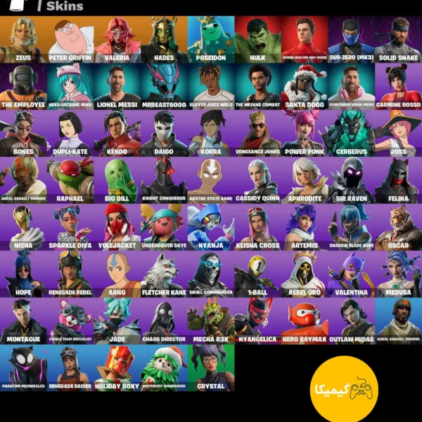 اکانت فورتنایت کد 1003